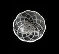 Bobeche tazza coppa grande cristallo trasparente ricambio lampadario coll. Lisa ø25