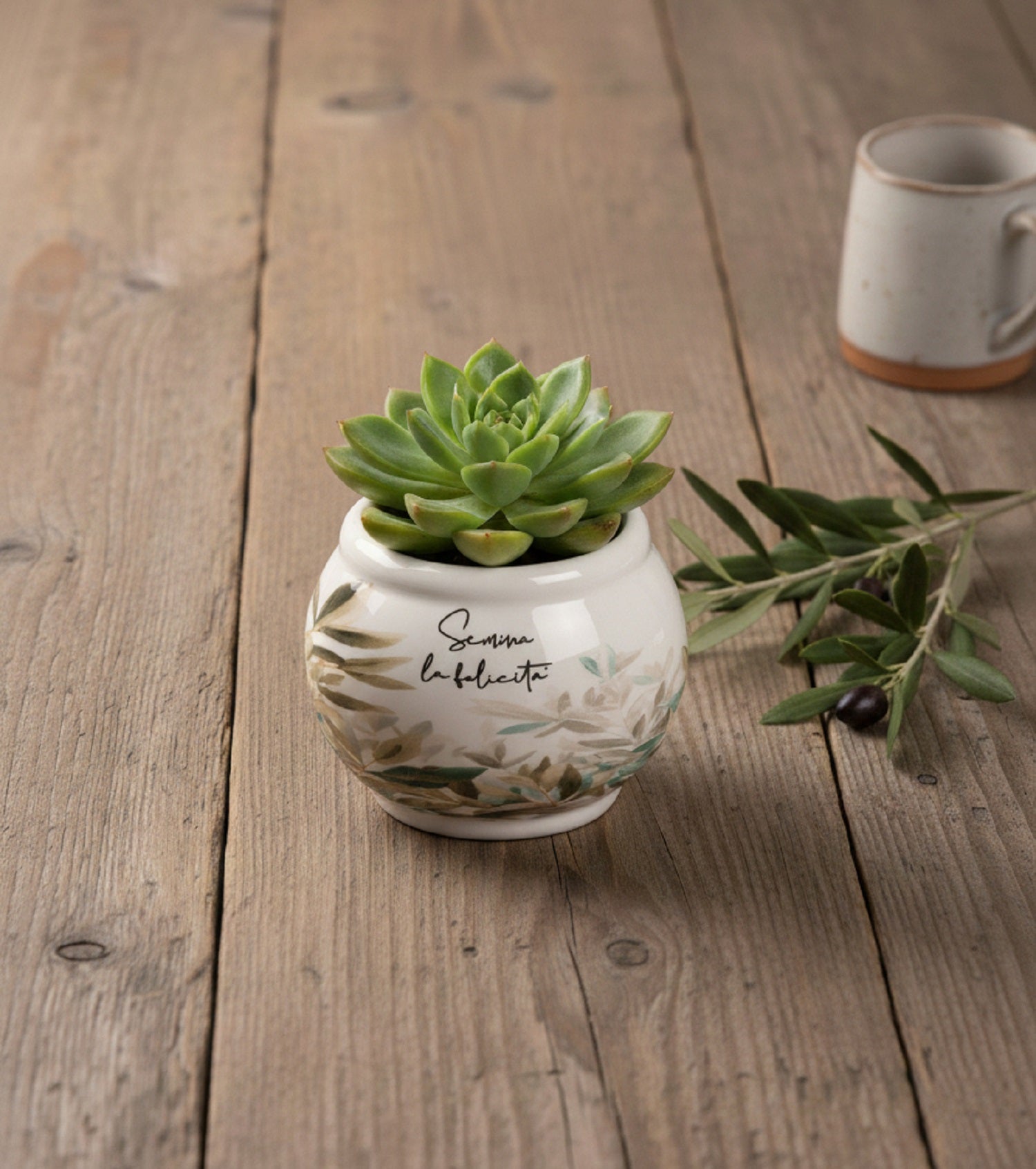 Porta piantina in porcellana con decoro foglie bomboniera per matrimonio, cresima, comunione, Harmony PRMT26191