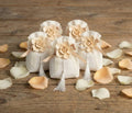 Set sacchetto porta confetti da 5 pz con rosa bomboniera per matrimonio, comunione, cresima, Harmony