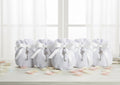 Set sacchetto porta confetti da 5 pz bomboniera per matrimonio, comunione, cresima, Harmony STMT25263